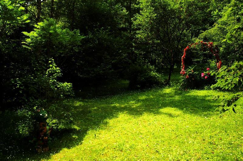 Raj Muszyna Apartamenty Z Widokiem Na Panorame Gorska Exteriör bild