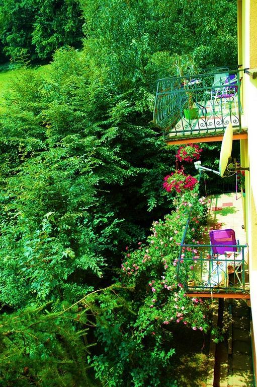 Raj Muszyna Apartamenty Z Widokiem Na Panorame Gorska Exteriör bild