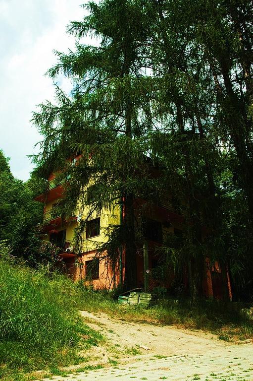 Raj Muszyna Apartamenty Z Widokiem Na Panorame Gorska Exteriör bild